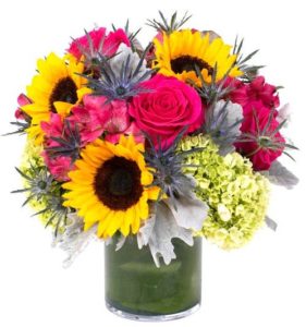 Lucent - glowing with or giving off light. That's exactly what this mix does, featuring hot pink roses, sunflowers, hydrangea and alstromeria, accented with dusty miller and sassy blue thistle.