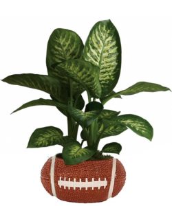 Plant in planter shaped like football
