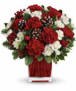Red adn White carnations with pine cones and greenery in red vase