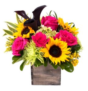 Vibrant favorites in this arrangement featuring hydrangea, hot pink roses, sunflowers, green spider mums, designed in a wooden keepsake cube