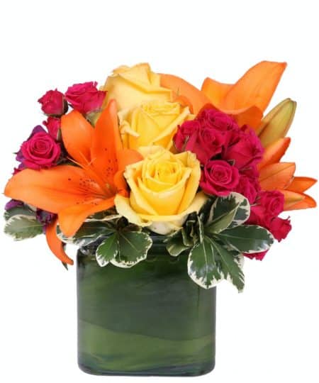 The colorful bouquet includes orange Asiatic lilies, yellow roses, purple alstroemeria and hot pink spray roses asters accented with fresh greenery - delivered in a contemporary, leaf-lined glass vase
