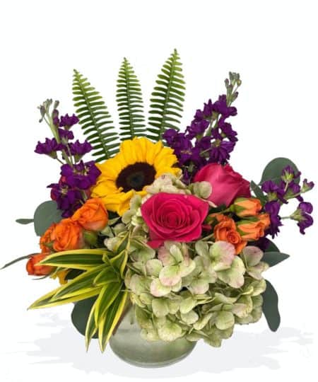 A joyful mix of antique hydrangea, hot pink roses, orange spray roses, purple stock, sunflowers, song of india, sword fern and eucalyptus in a keepsake glass cylinder