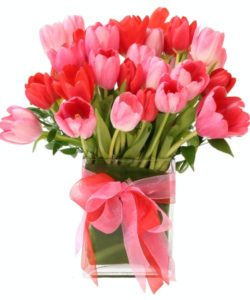 A mixture of 30 huge pink, hot pink and red Dutch tulips in a cool envelope vase, dressed with a pink and red sheer bow.